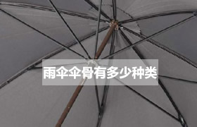 雨伞伞骨